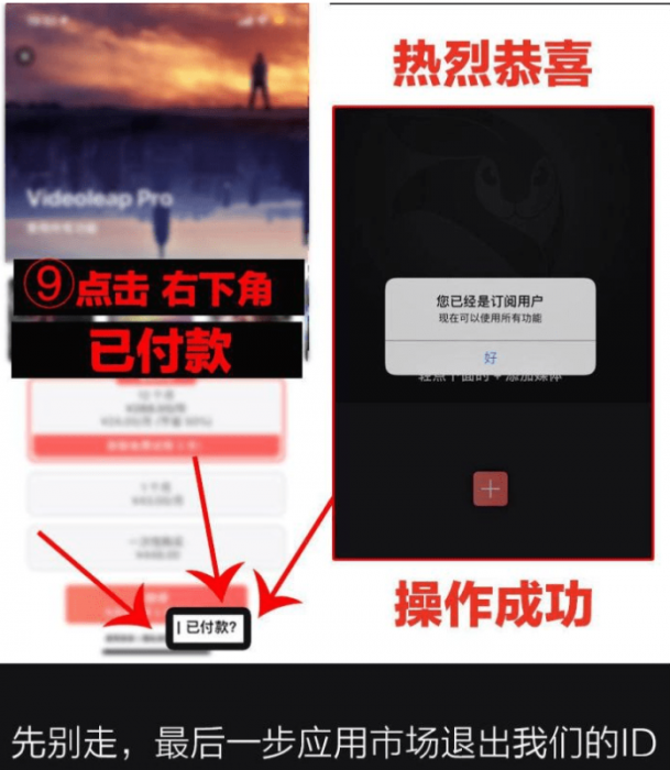 抖音超火视频剪辑软件，Videoleap某宝买的分享给大家-第2张图片-云起资源网