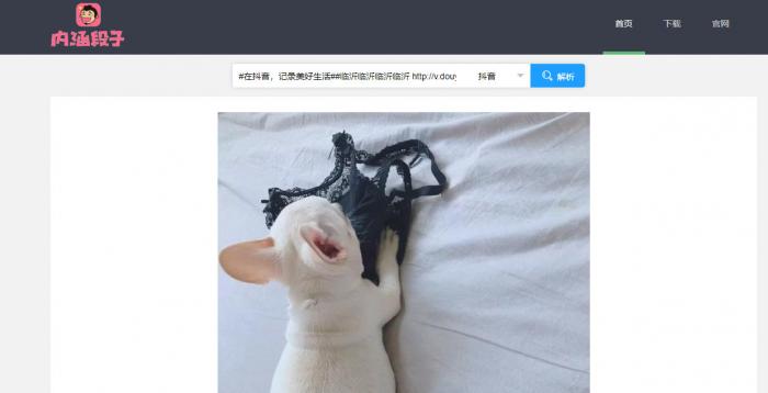 短视频无水印解析源码半开源分享-互联网大师兄i互联网大师兄i