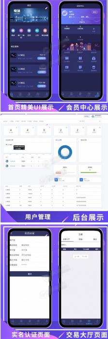 全新UI疯狂蚂蚁区块链矿池重置版网站源码 全开源可二开-互联网大师兄i互联网大师兄i