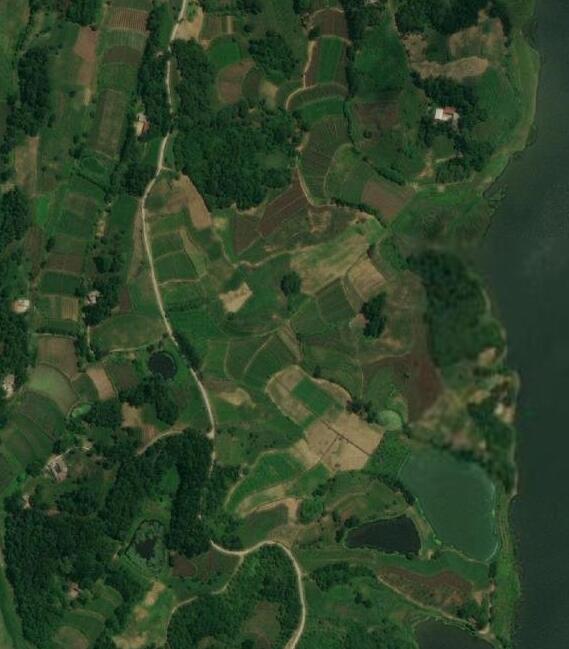 专业版谷歌地球地图永久版某拼购买-互联网大师兄i互联网大师兄i