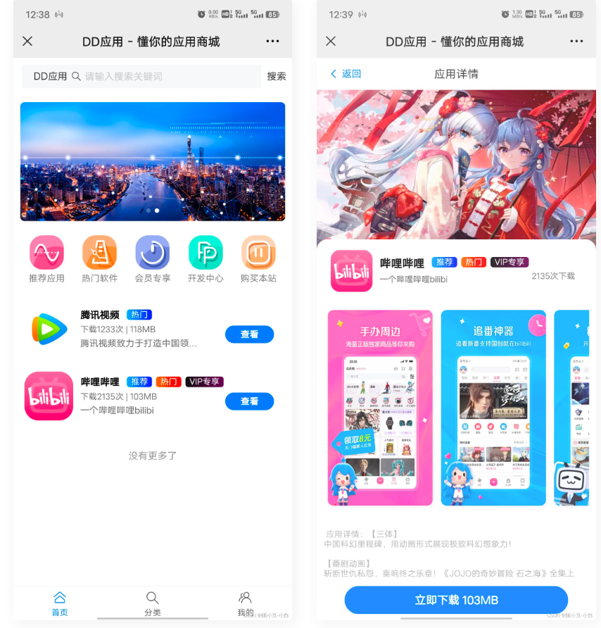 D1112 DD应用系统软件库网站源码-互联网大师兄i互联网大师兄i