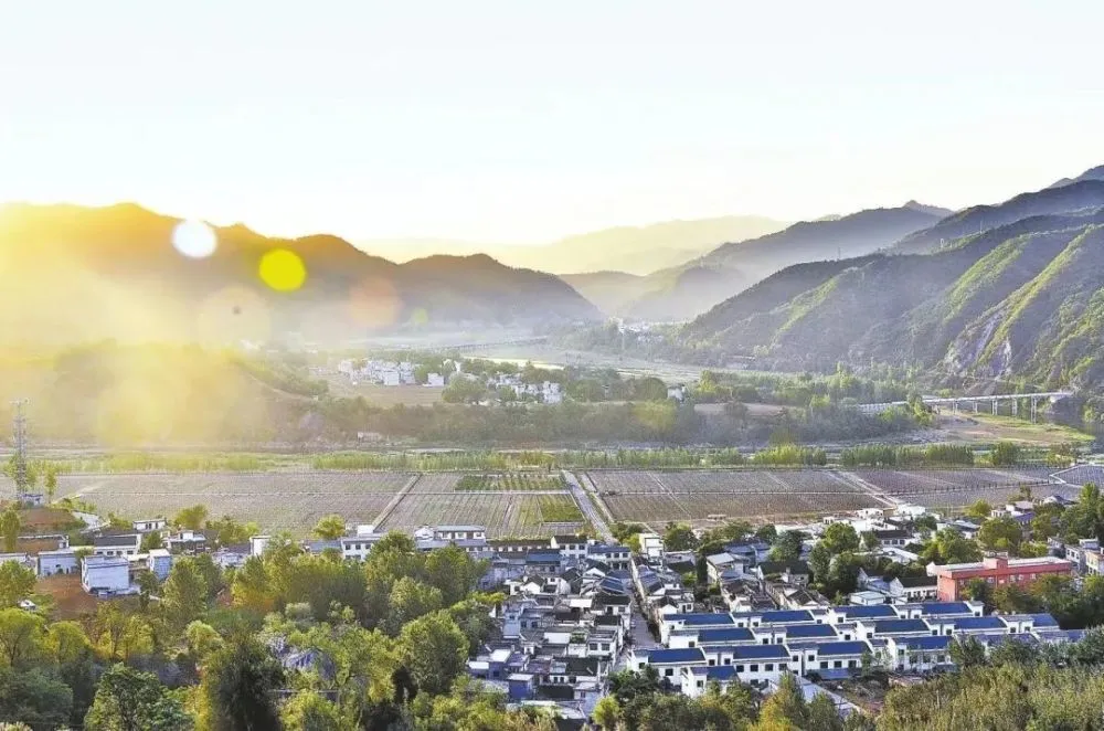 【6】互联网大师兄i:我是个什么样的人?-互联网大师兄i互联网大师兄i